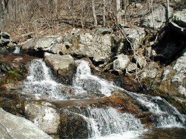 [Fallingwater Cascade Trail]